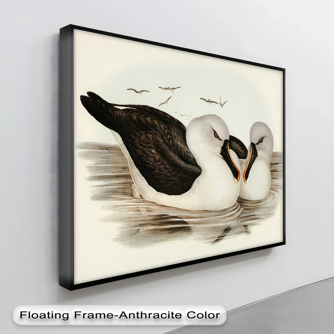 Regal Reflections – Pair of Albatrosses Animal Canvas Print - MyPhotoStation