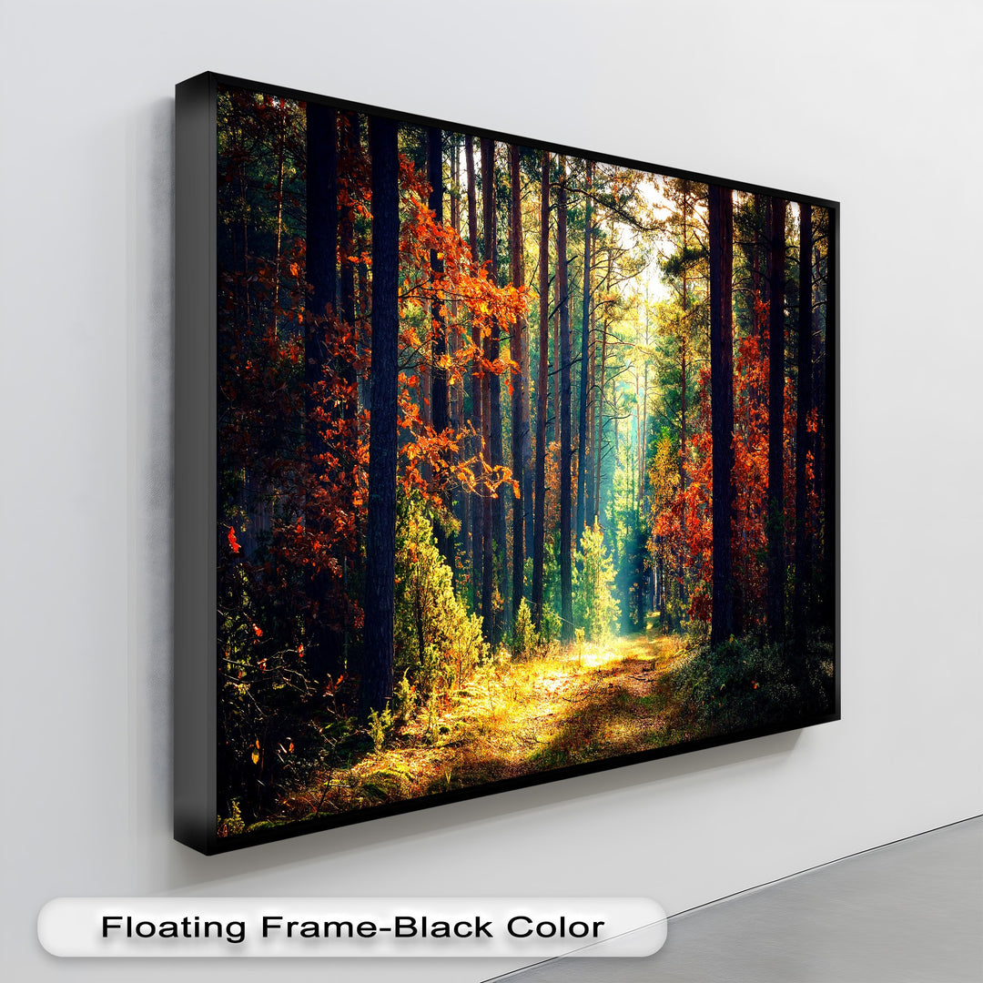 The elegant black floating frame finish of this autumn forest canvas art beautifully complements the sunlit nature path.