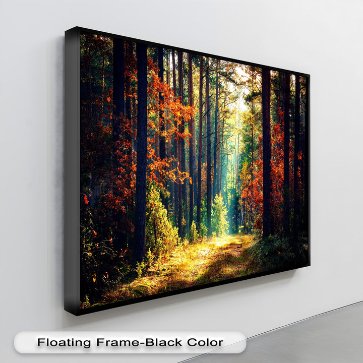 The elegant black floating frame finish of this autumn forest canvas art beautifully complements the sunlit nature path.