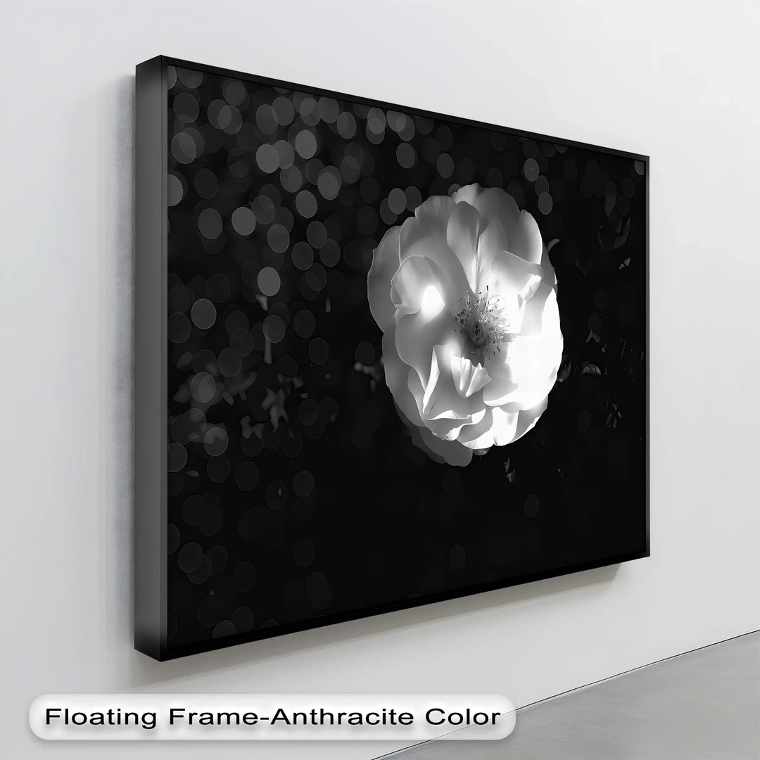 Luminous Bloom – White Rose in Darkness Canvas Print - MyPhotoStation