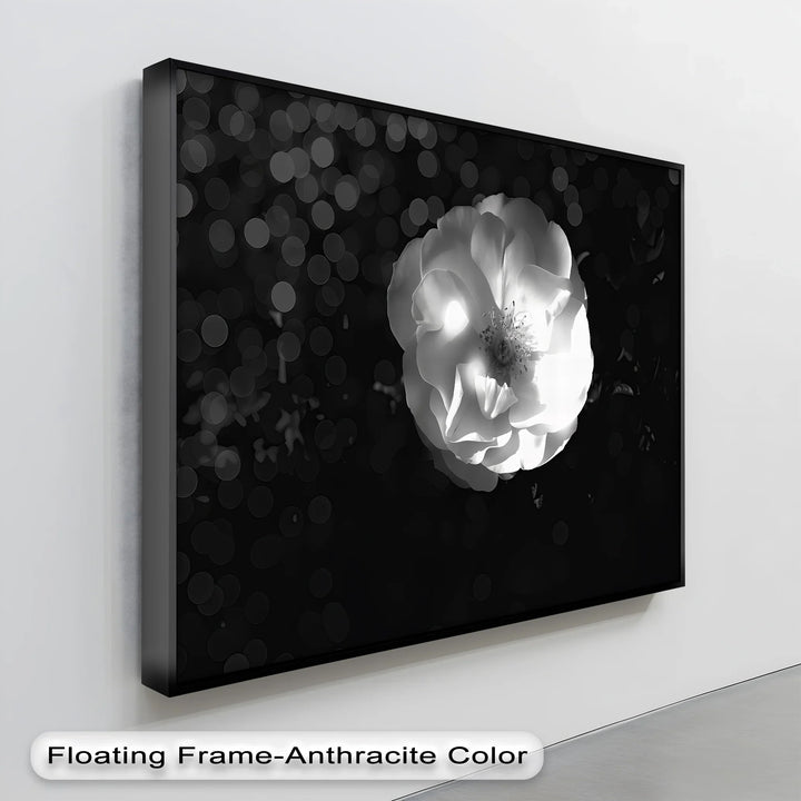 Luminous Bloom – White Rose in Darkness Canvas Print - MyPhotoStation