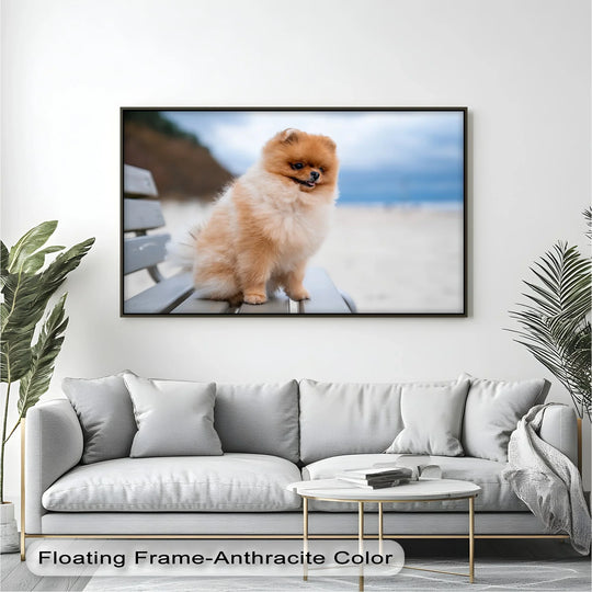 Add playful elegance to your space with this cheerful framed canvas print of a beachside Pomeranian.

