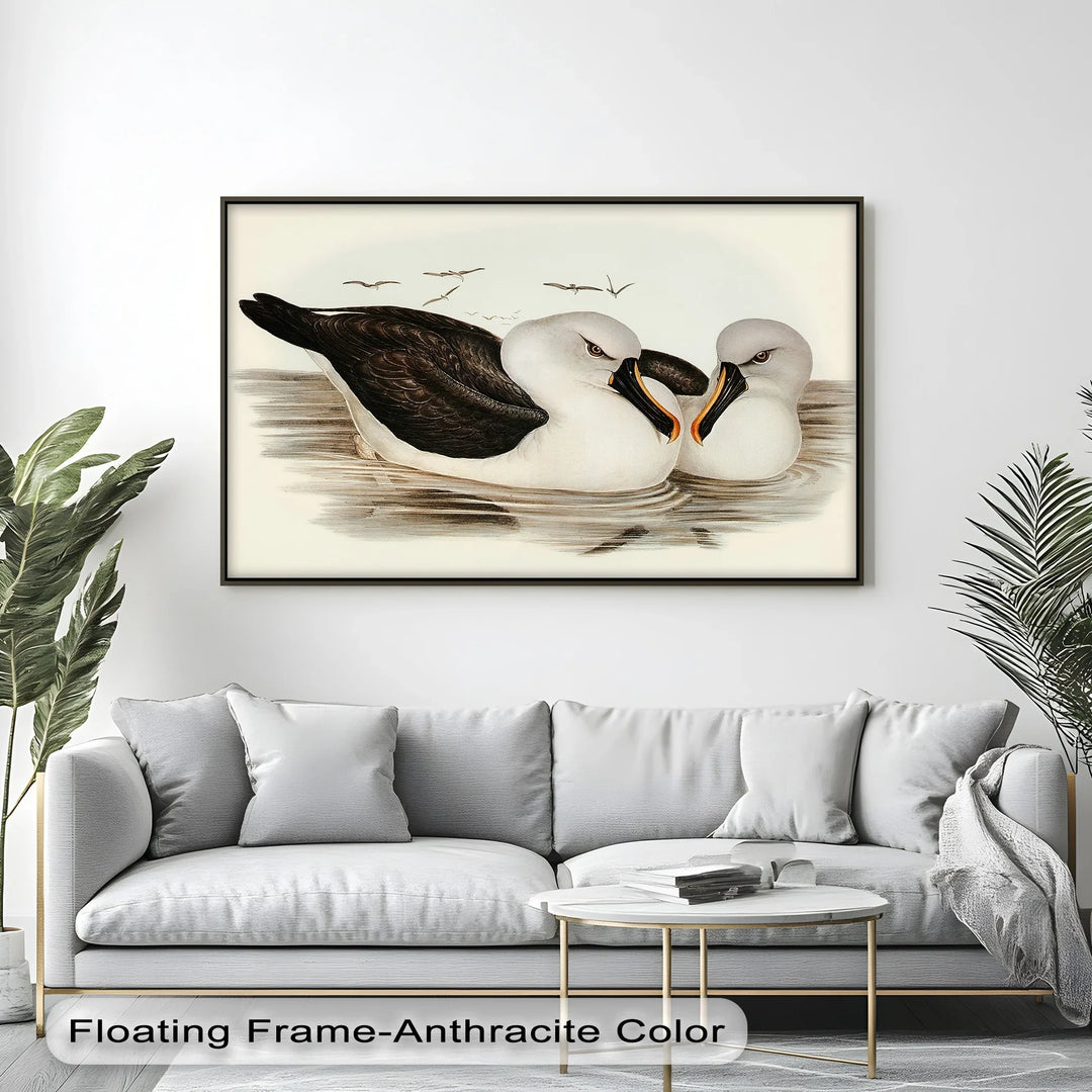 Regal Reflections – Pair of Albatrosses Animal Canvas Print - MyPhotoStation