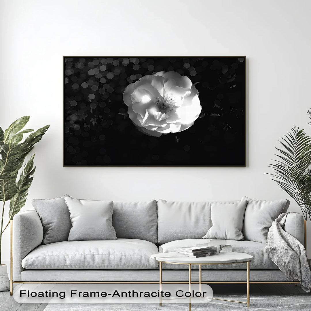 Luminous Bloom – White Rose in Darkness Canvas Print - MyPhotoStation
