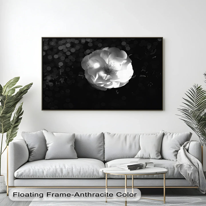 Luminous Bloom – White Rose in Darkness Canvas Print - MyPhotoStation