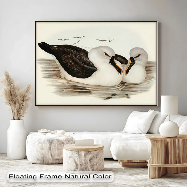 Regal Reflections – Pair of Albatrosses Animal Canvas Print - MyPhotoStation