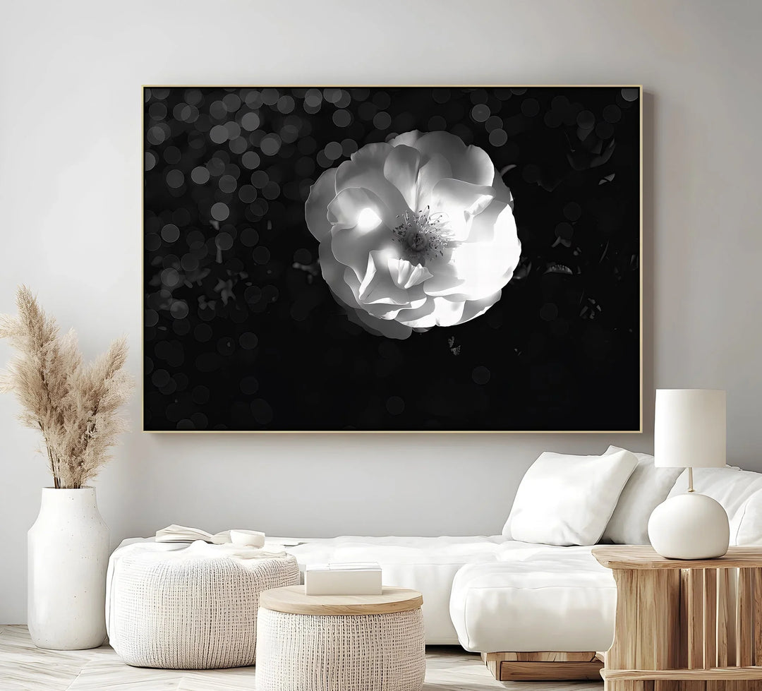 Luminous Bloom – White Rose in Darkness Canvas Print - MyPhotoStation