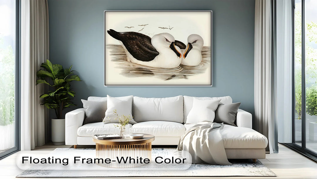Regal Reflections – Pair of Albatrosses Animal Canvas Print - MyPhotoStation
