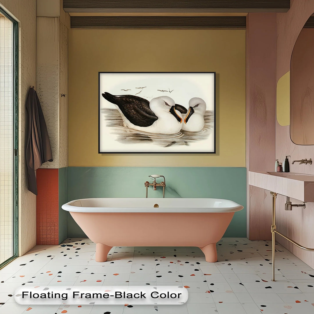 Regal Reflections – Pair of Albatrosses Animal Canvas Print - MyPhotoStation
