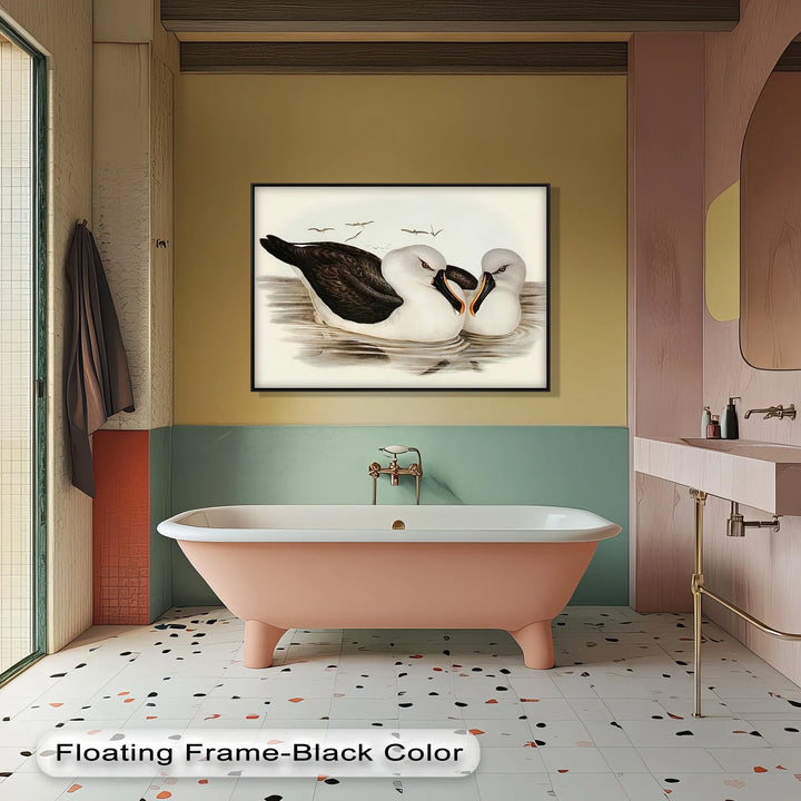 Regal Reflections – Pair of Albatrosses Animal Canvas Print - MyPhotoStation