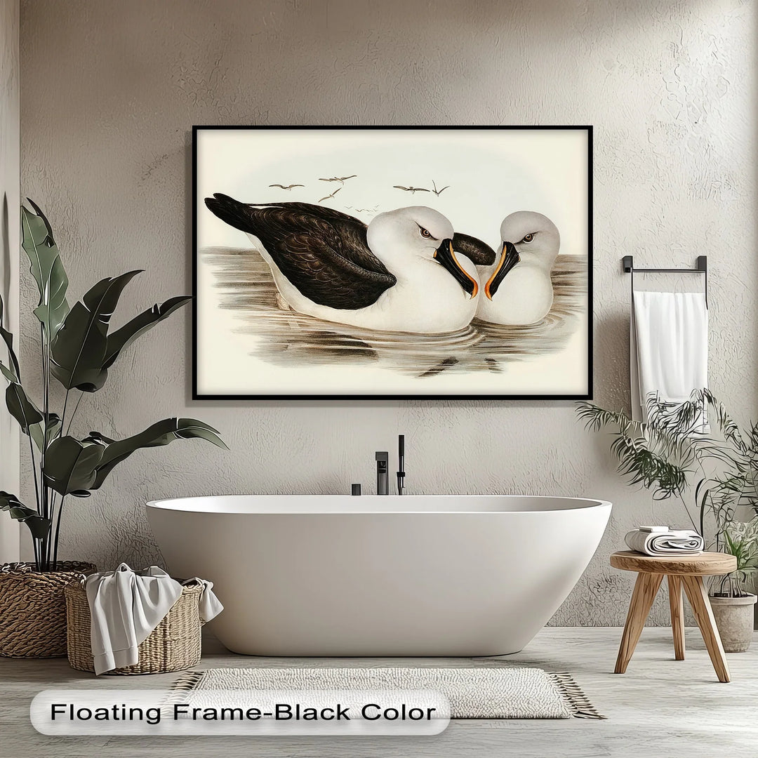 Regal Reflections – Pair of Albatrosses Animal Canvas Print - MyPhotoStation
