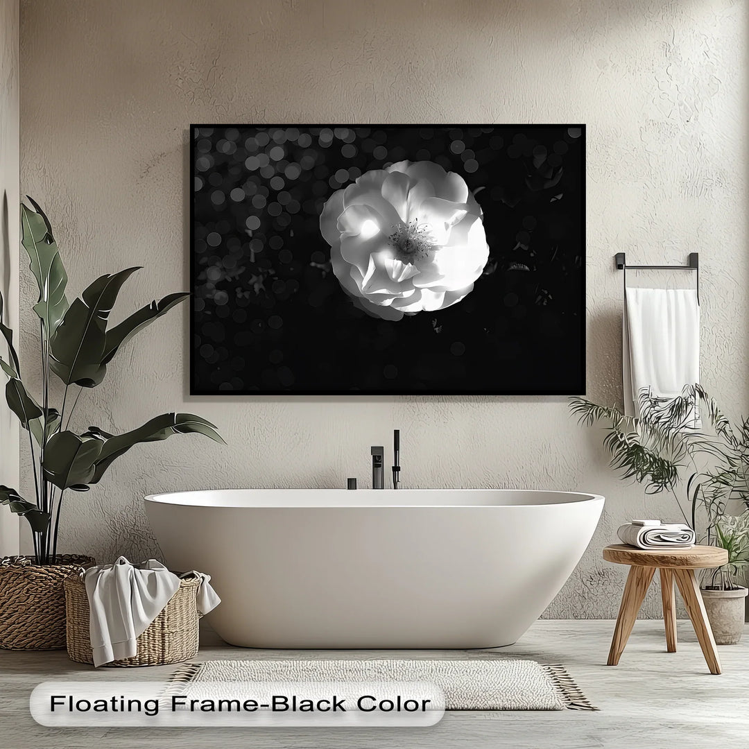 Luminous Bloom – White Rose in Darkness Canvas Print - MyPhotoStation