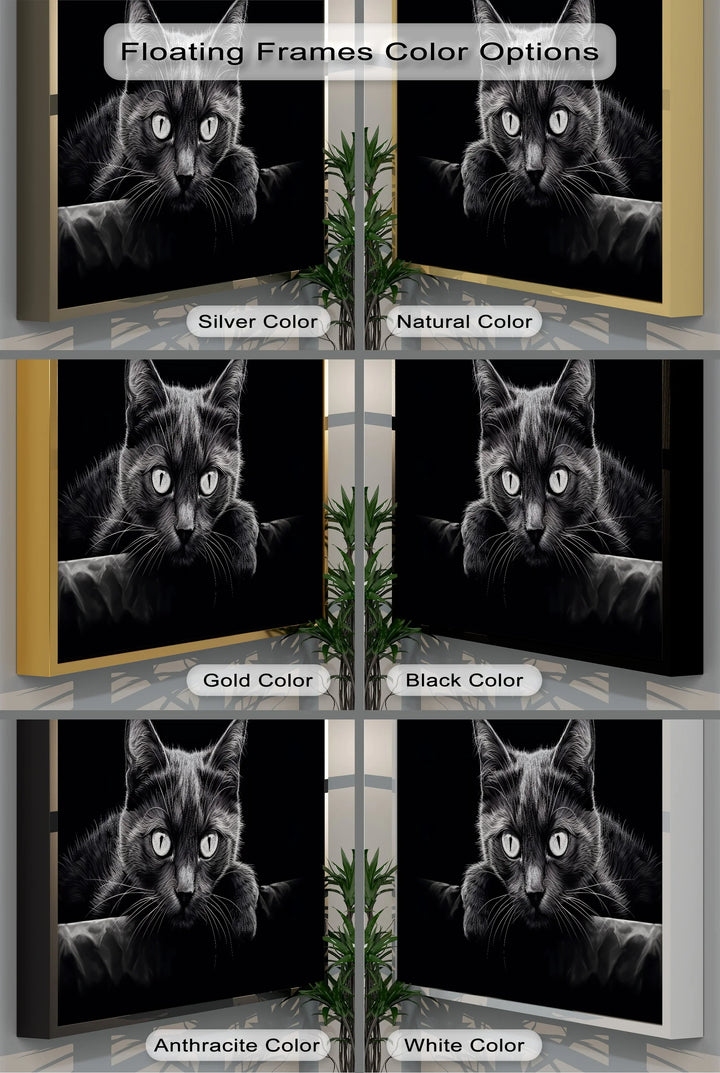 Midnight Gaze – Black Cat in Monochrome Shadow Cat Canvas Print - MyPhotoStation