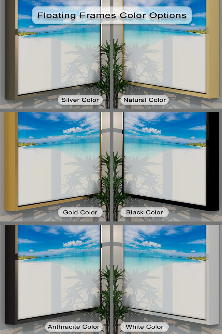 Tropical Beach and Crystal Waters - Landscape Canvas Print