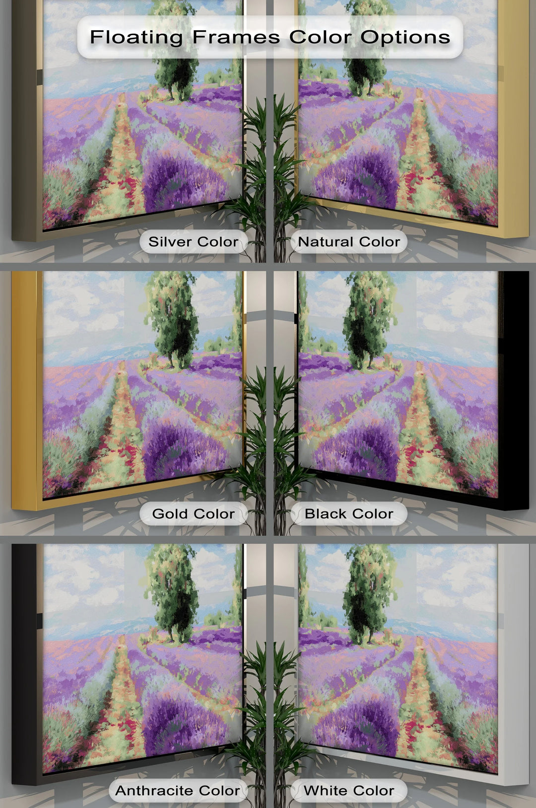 Lavender Fields Under Blue Sky – Canvas Print - MyPhotoStation
