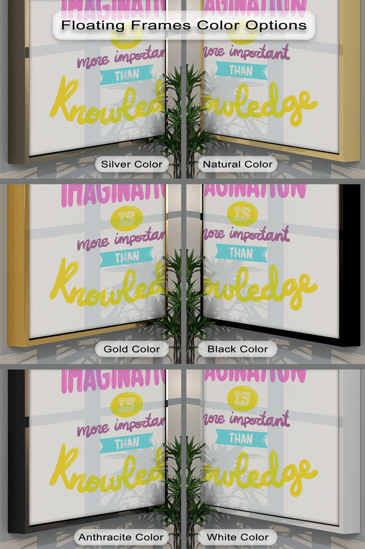 Imagination Is More Important Than Knowledge - Canvas Print