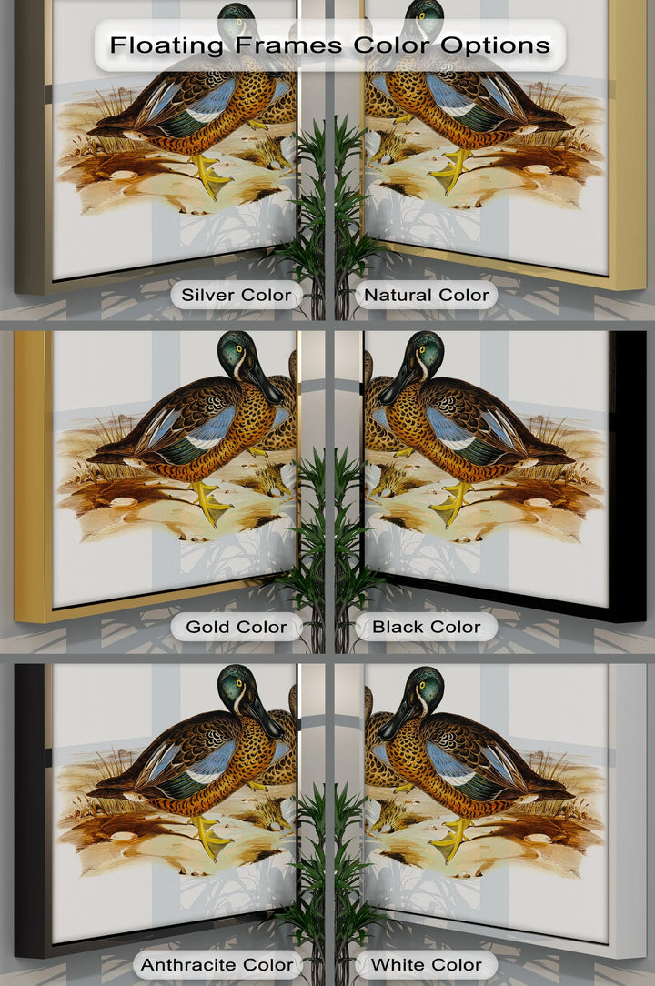 Marshland Companions – Vintage Duck Pair Animal Canvas Print - MyPhotoStation
