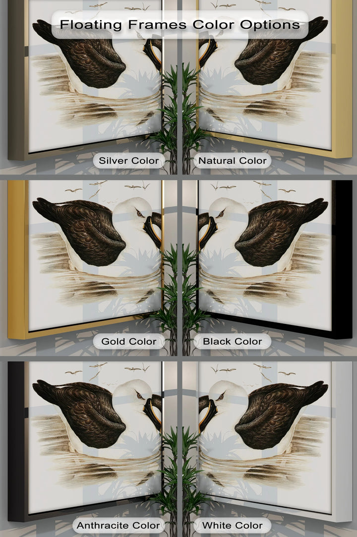 Regal Reflections – Pair of Albatrosses Animal Canvas Print - MyPhotoStation