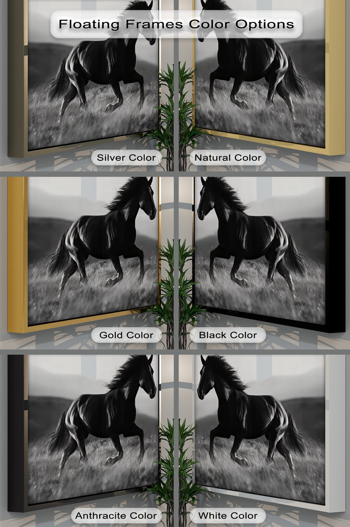 Midnight Gallop – Black Horse in Motion Canvas Print