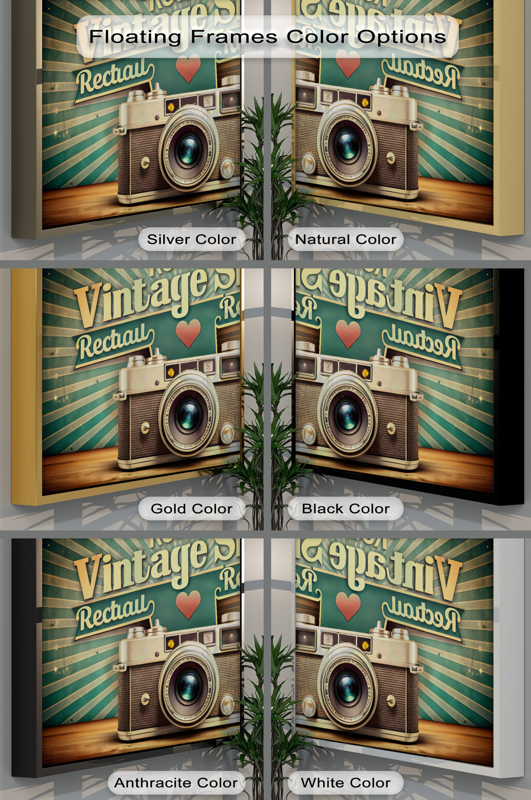 Vintage Camera with Radiant Typography - Retro Canvas Print