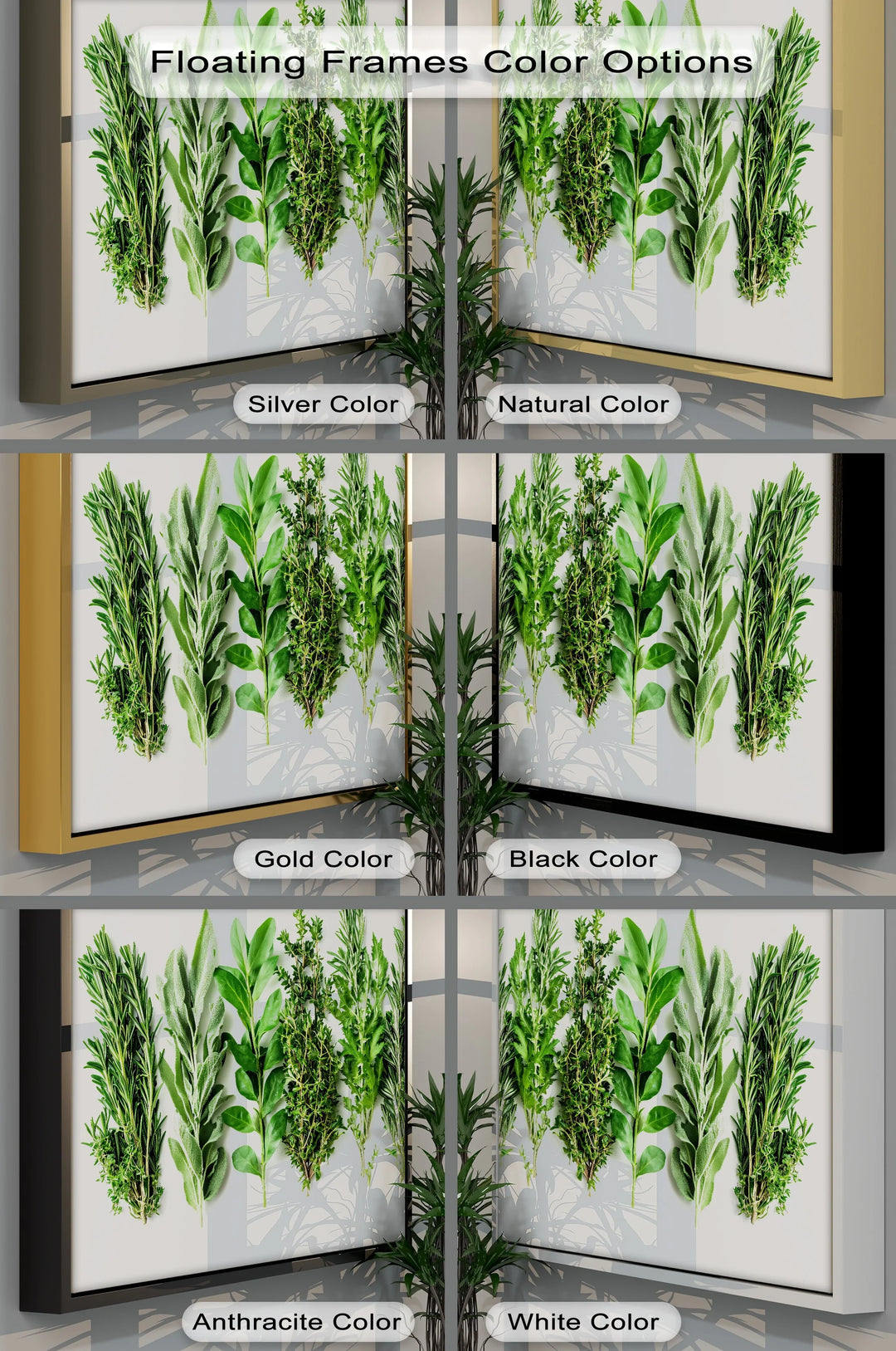 Fresh Herb Medley – Kitchen Canvas Prints - MyPhotoStation