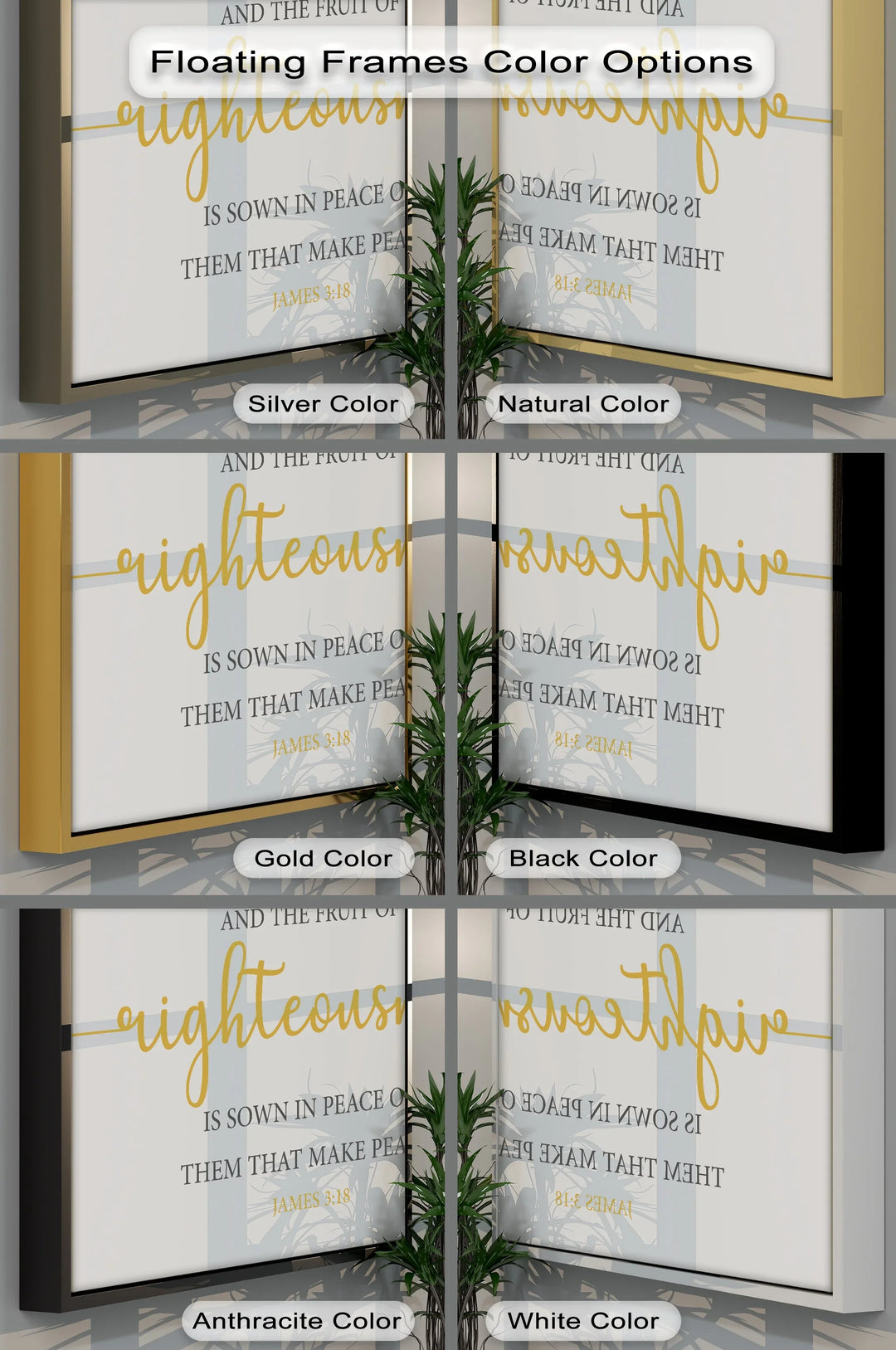 Fruit of Righteousness – James 3:18 Canvas Print - MyPhotoStation