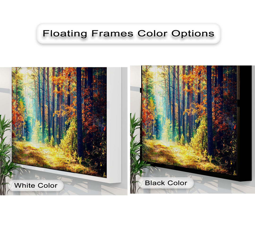 The high color contrast of the autumn forest canvas pictures features a vivid sunlit path, framed dramatically in both crisp white and deep black options.