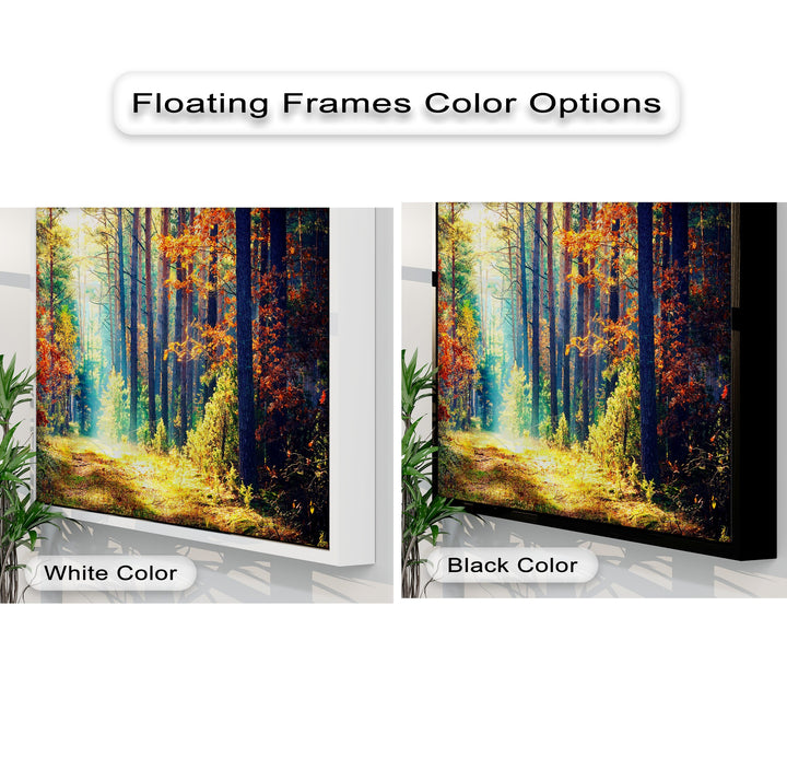 The high color contrast of the autumn forest canvas pictures features a vivid sunlit path, framed dramatically in both crisp white and deep black options.