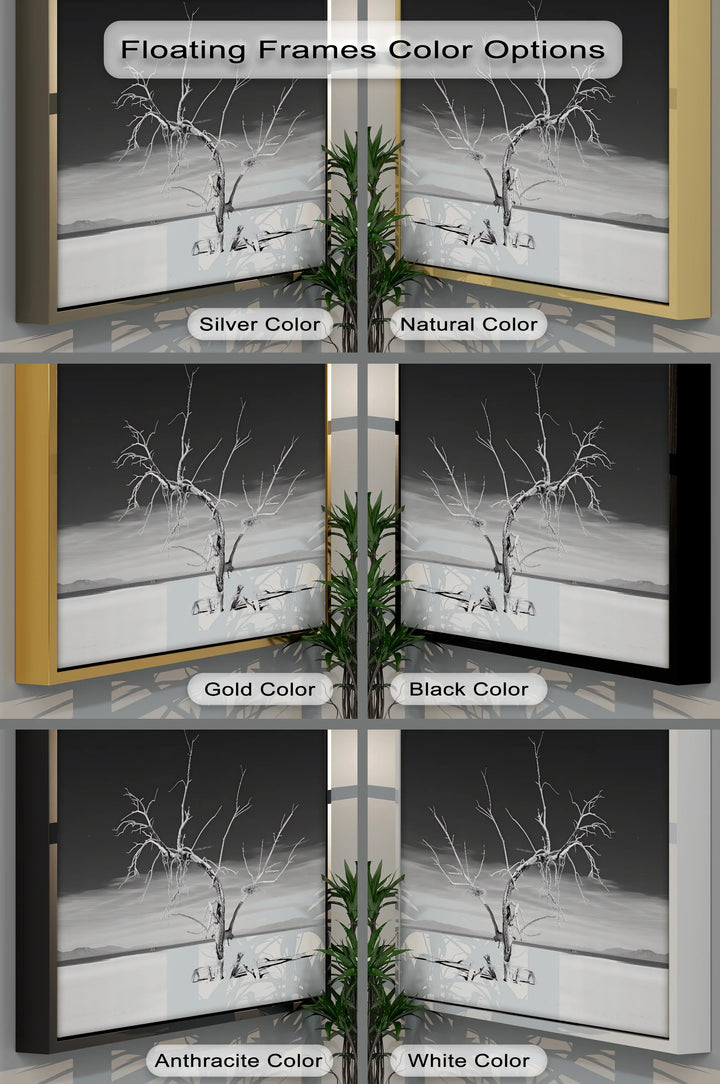Solitary Resilience – Black and White Desert Tree Canvas Print - MyPhotoStation