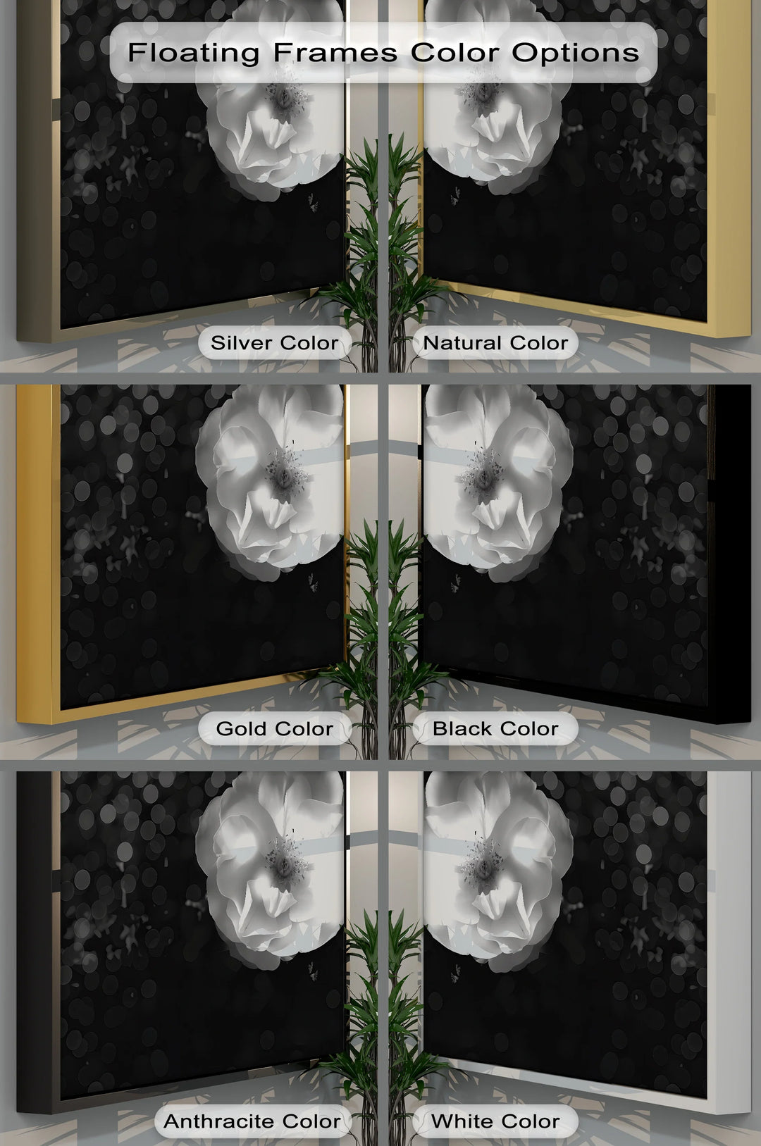 Luminous Bloom – White Rose in Darkness Canvas Print - MyPhotoStation