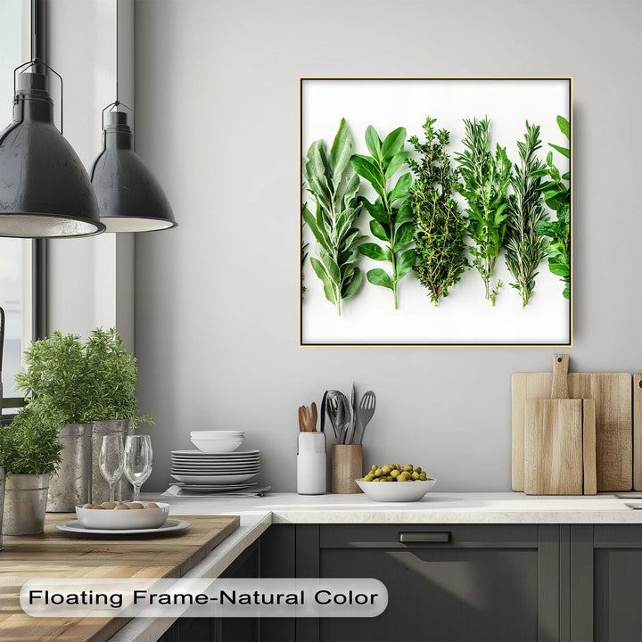 Fresh Herb Medley – Kitchen Canvas Prints - MyPhotoStation