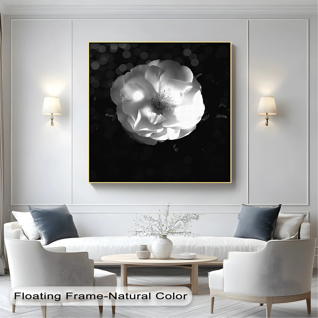 Luminous Bloom – White Rose in Darkness Canvas Print - MyPhotoStation