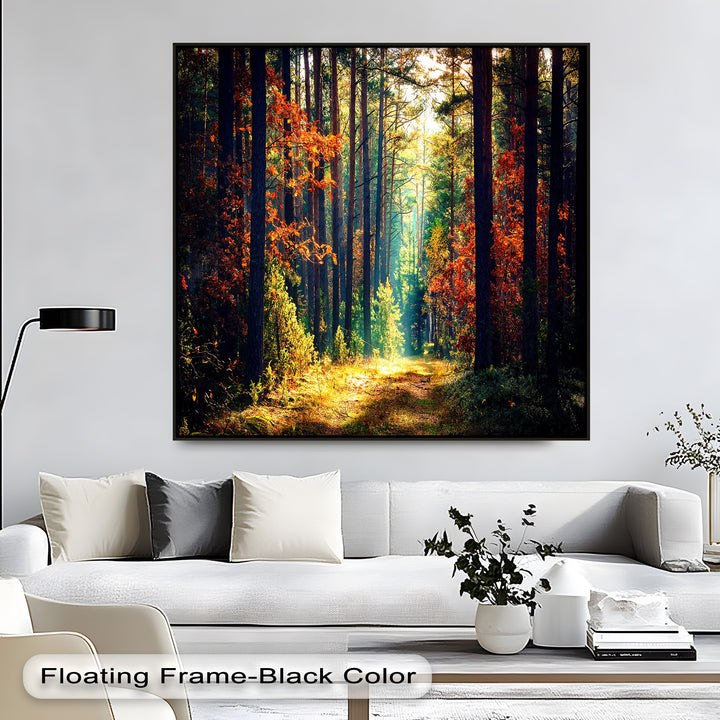 The peaceful mood of a sunlit autumn forest path is beautifully captured in these vibrant canvas pictures.