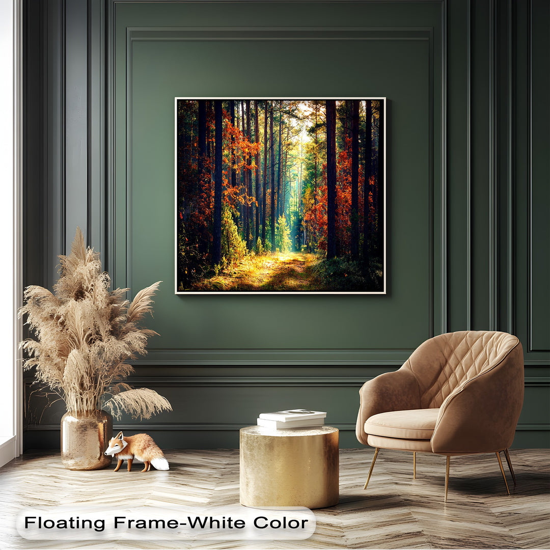 The crisp white floating frame elegantly encloses the vibrant autumn forest canvas art prints, highlighting the sunlit path.