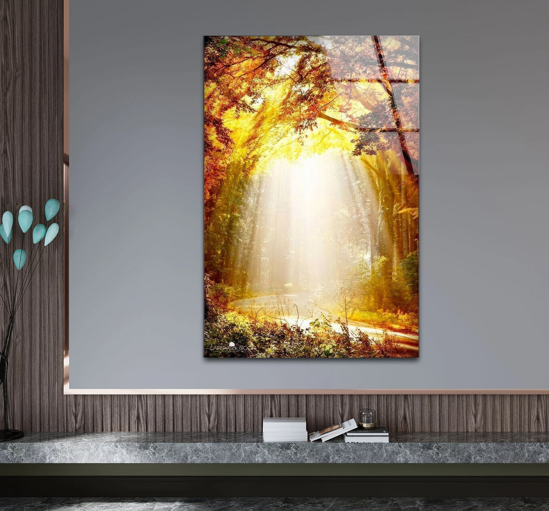 Golden Forest Sunbeam Wall Art – Radiant Nature Glass Print for Warm Home Decor - MyPhotoStation