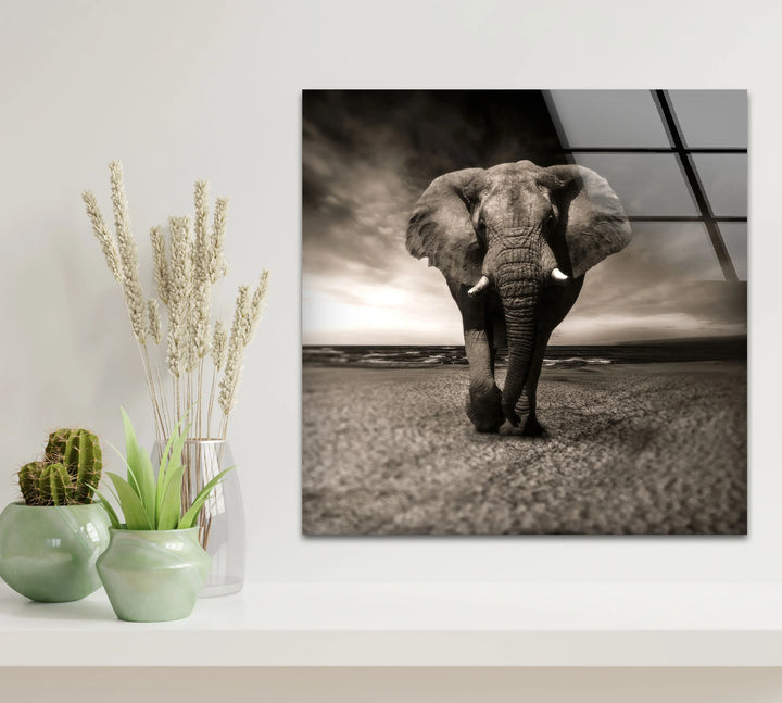 Majestic Elephant on the Beach Glass Wall Art – Black and White Animal Decor - MyPhotoStation
