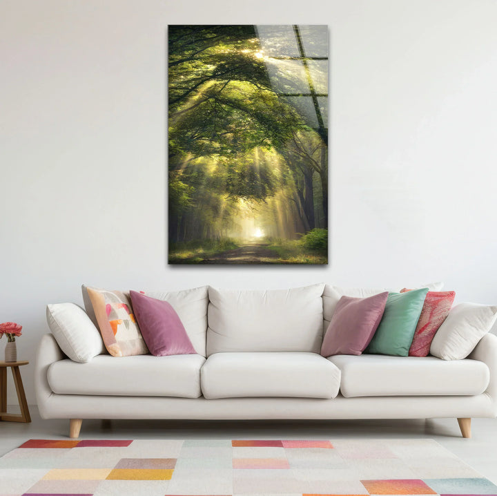 Forest Light Path Glass Wall Art – Serene Green Nature Print for Relaxing Decor - MyPhotoStation