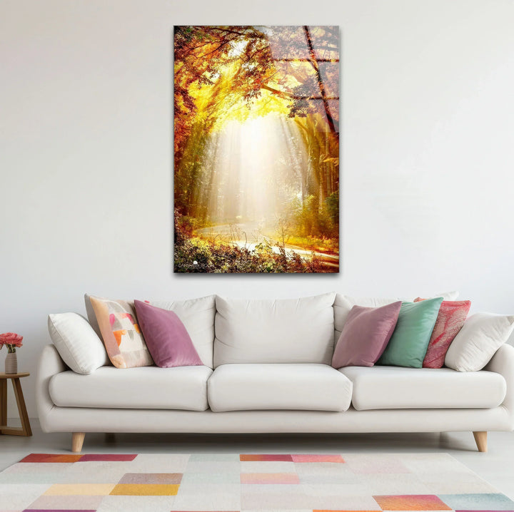 Golden Forest Sunbeam Wall Art – Radiant Nature Glass Print for Warm Home Decor - MyPhotoStation
