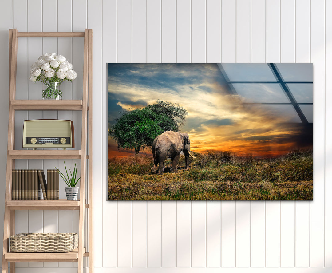 Elephant at Sunset Safari Wall Art – African Landscape Glass Print