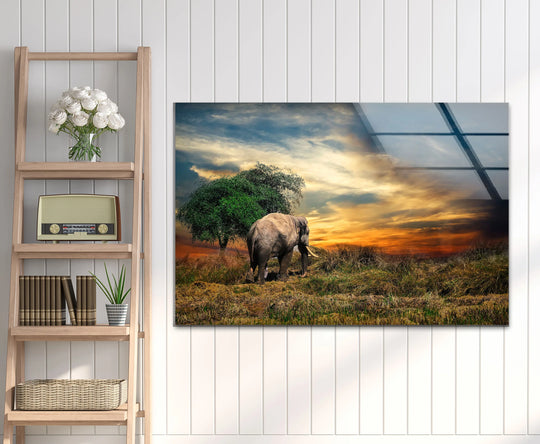 A magnificent elephant wanders across a sun-drenched savanna, beautifully rendered on a vibrant glass wall art print.