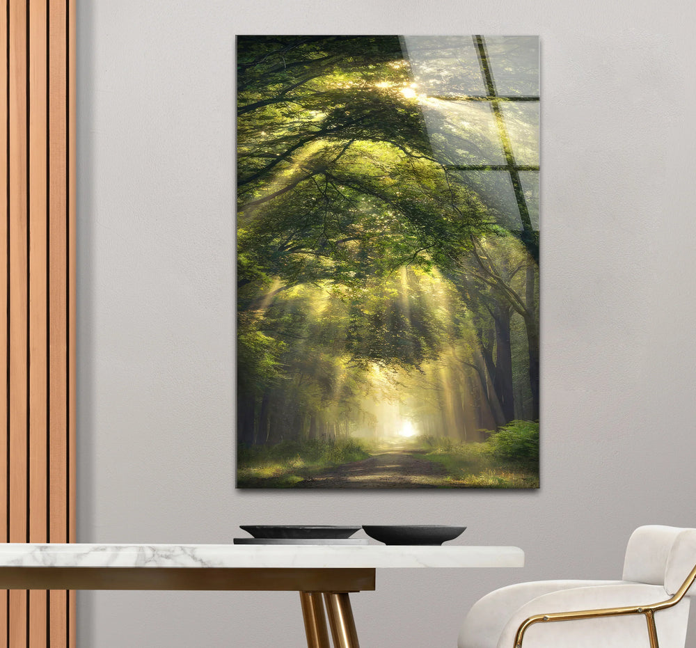 Forest Light Path Glass Wall Art – Serene Green Nature Print for Relaxing Decor - MyPhotoStation