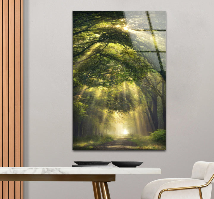 Forest Light Path Glass Wall Art – Serene Green Nature Print for Relaxing Decor - MyPhotoStation
