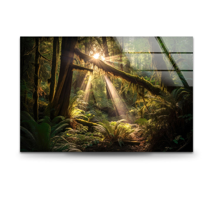 Enchanted Forest Wall Art – Sunlight Through Trees Glass Print for Nature-Inspired Decor