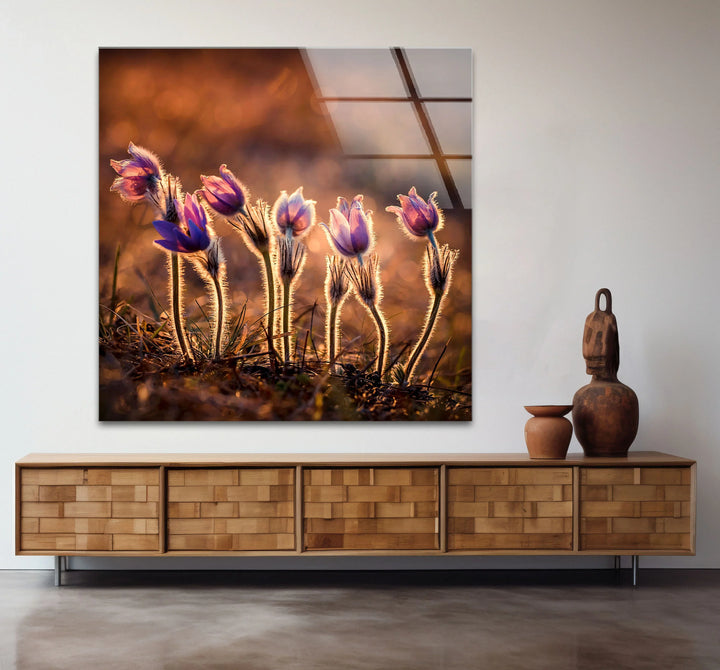 Sunlit Wildflower Wall Art – Purple Spring Bloom Glass Print with Golden Hour Glow for Cozy, Nature-Inspired Interiors - MyPhotoStation