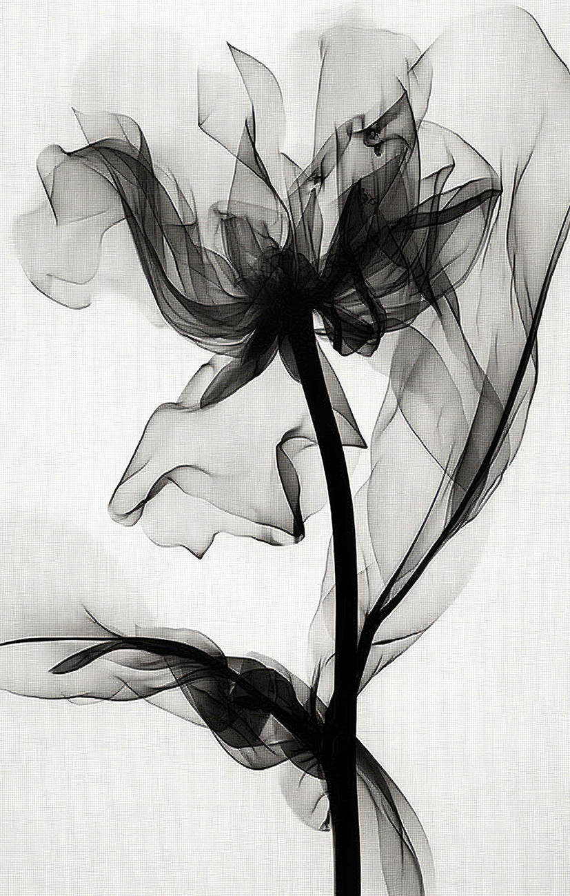 MObile-Dikey_ce97f64d-05a3-