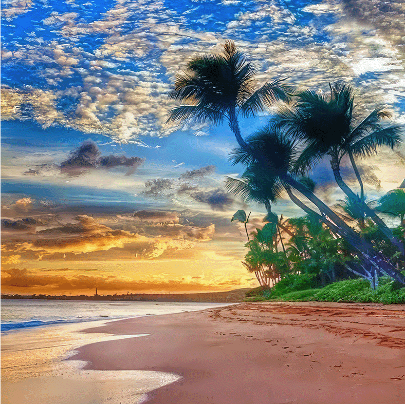 Beach