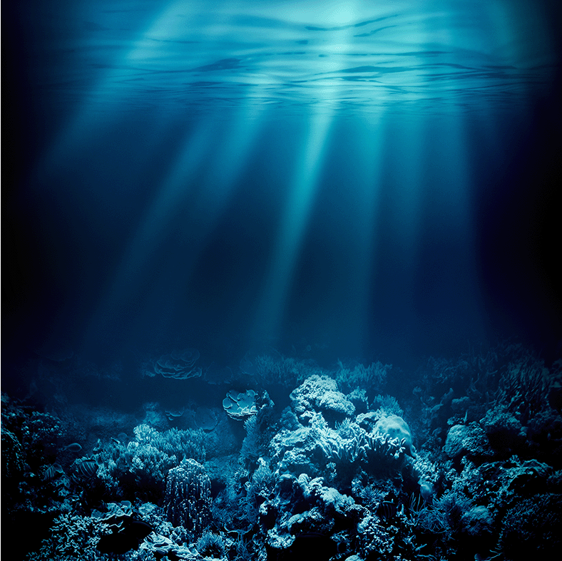 Ocean
