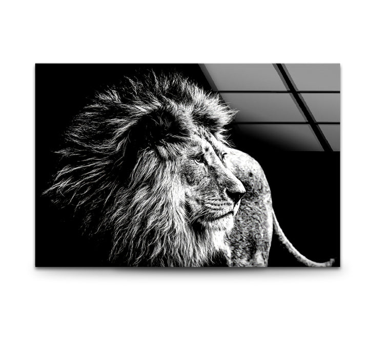 Black and White Lion Wall Art – Majestic Wildlife Glass Print Design