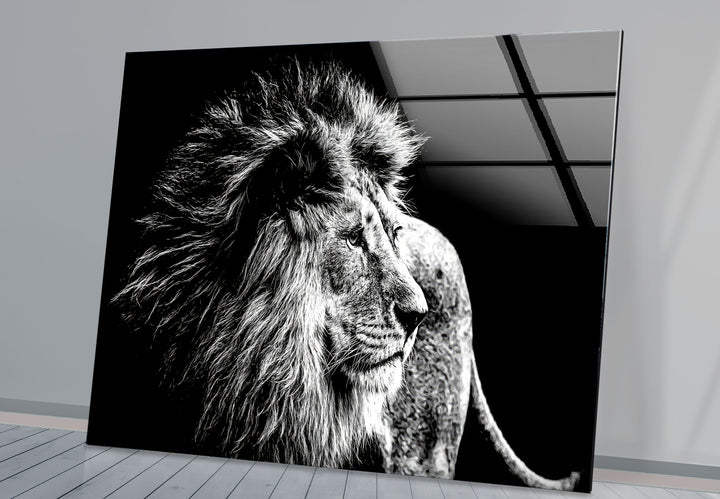 Black and White Lion Wall Art – Majestic Wildlife Glass Print Design