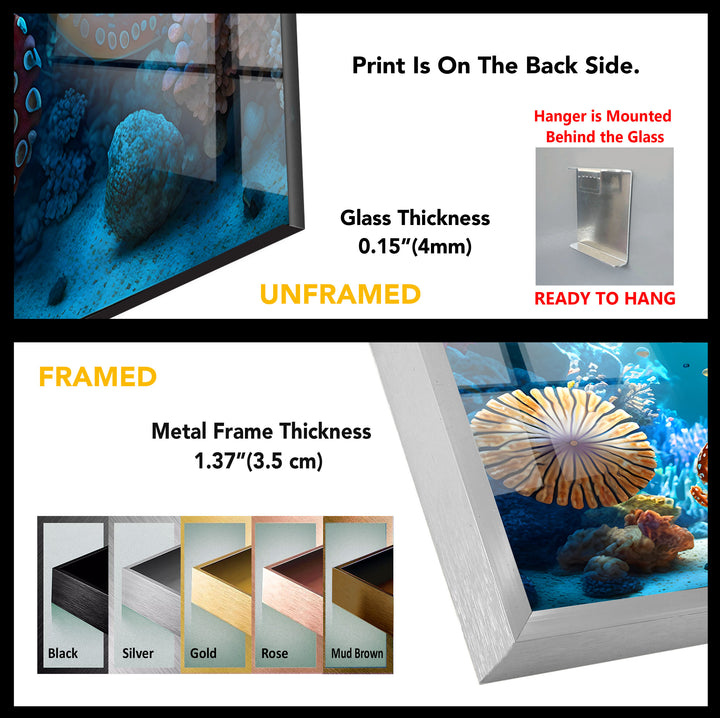 Octopus Underwater Wall Art – Vibrant Coral Reef Ocean Scene Glass Print